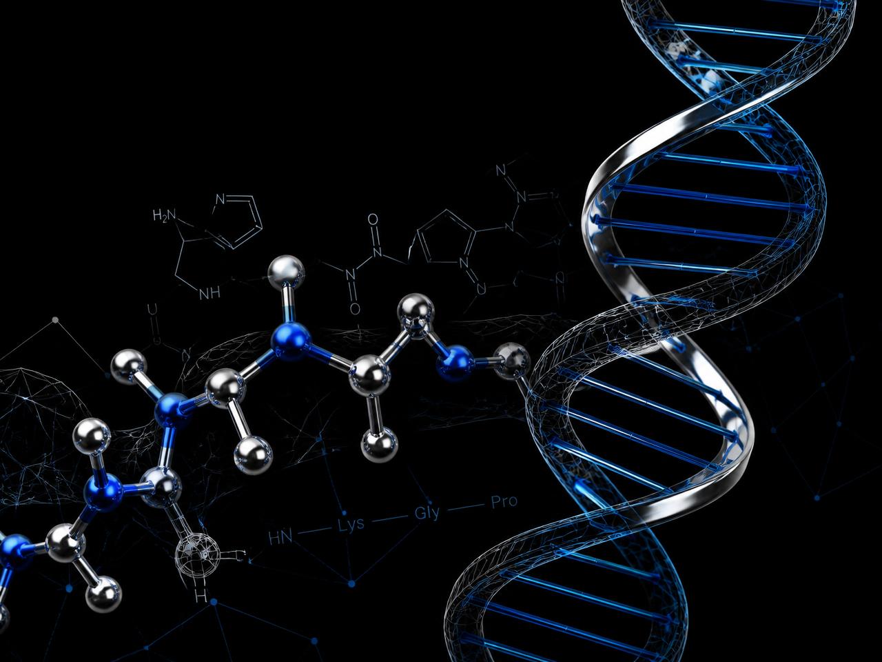 Illustration of a peptide chain beside a DNA double helix